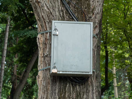 In the city park, an iron box hangs on a tree. An iron box with wires is attached to the tree with iron clamps.の写真素材