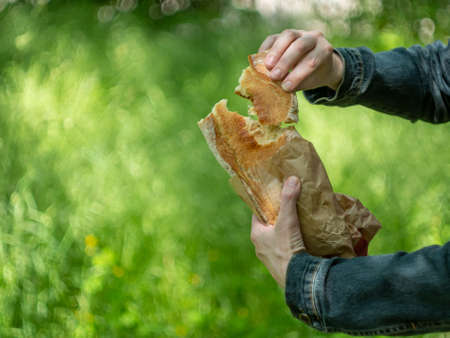 Female hands break off a piece of fresh white bread a baguette. Close-up.の写真素材