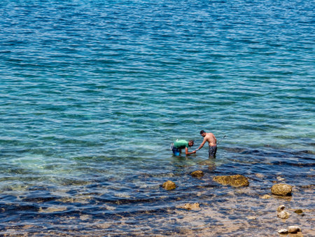 Gathering sea delicacies of oysters, mussels and crabs at low tide.の写真素材
