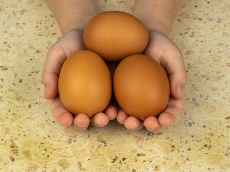 Beautiful chicken eggs in childrens hands. View from above. Copy space.