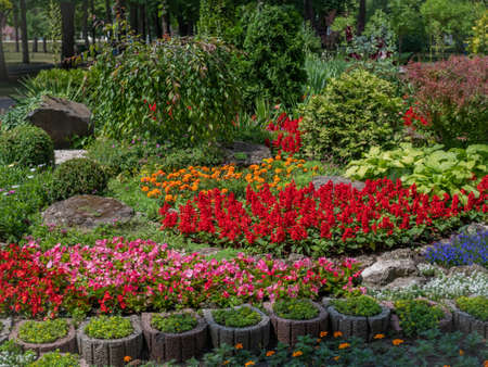 A beautiful flower bed with various decorative flowers of different colors and shades.の写真素材