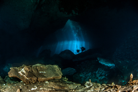 Scuba diving at the Cenote Jardin del Eden in Mexico