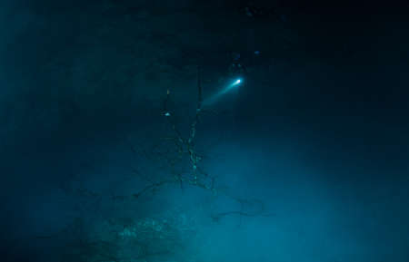 Scuba diving in the Cenote The Pit in Mexicoの写真素材
