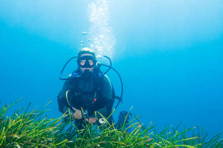 Underwater image of a female scuba diver near some sea grass on a dive
