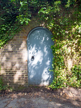 Wooden gate in a brick wall covered with Ivyの写真素材