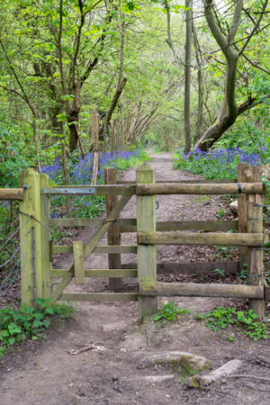 Wooden gate and fence leading to a forest pathの写真素材