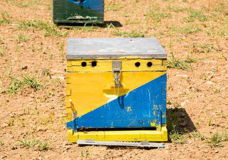 Bee hive set out in the countrysideの写真素材