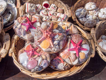 Packs of starfish and sea shells for saleの写真素材