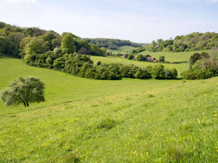 Beautiful green valley with housesの写真素材