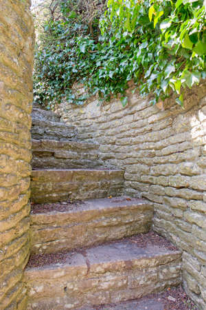Stone spiral staircase covered with Ivyの写真素材