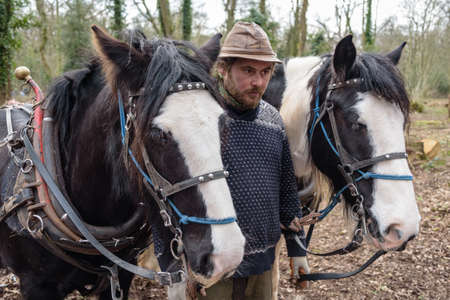 Team of Horses with their ownerの写真素材
