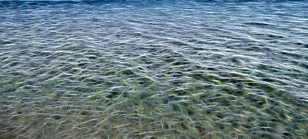 Illustration of a sea made up of glowing lines.の写真素材