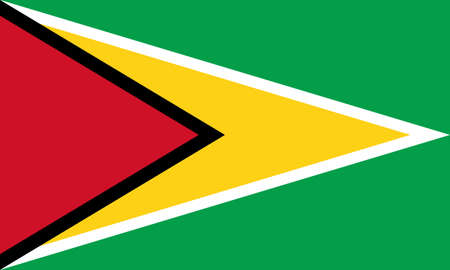 Illustration of the flag of Guyanaの写真素材