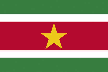 Illustration of the national flag of Surinameの写真素材