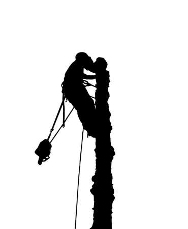 Illustration silhouette of a tree surgeon at the top of a tree with a chainsaw.He has a safety harnes and ropesの写真素材