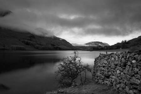 Black and White image of a small Tree and stone wall on the shoreline of Crummock Water in the Lake District National Park in the County of Cumbria,North West England,UK.の写真素材
