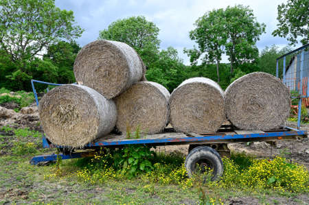 Round bales of straw stcked on a farmers trailer.の写真素材