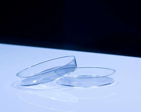 Petri dishの写真素材