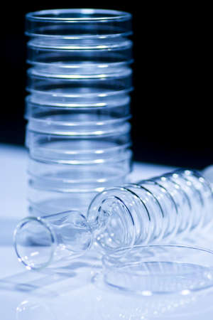 Petri dishの写真素材