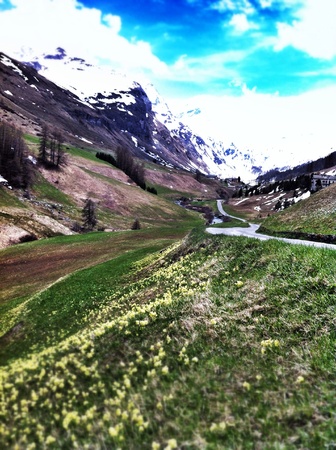 Alpine valleyの素材