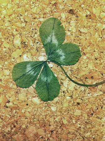 Four leaf cloverの素材