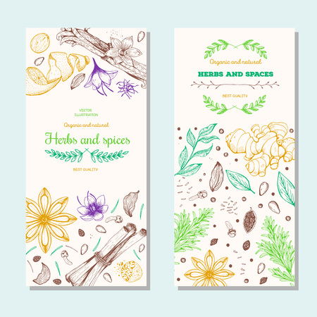 Herbs and spices banners, vintage design template.のイラスト素材