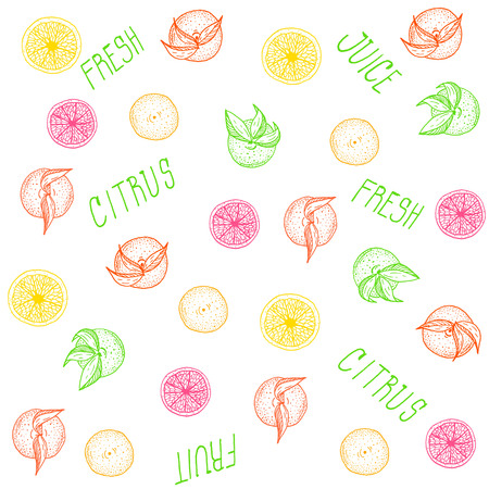 Silhouettes of oranges and lemons in different colors on a white backgroundのイラスト素材