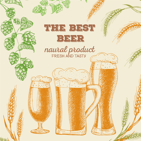 Vector template illustration of beer. Raw material for brewing: branch of hops and ears of barley. Card design.のイラスト素材