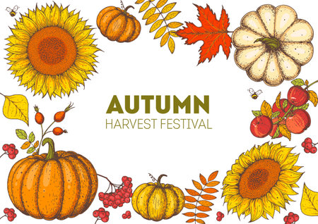 Harvest festival. Hand drawn frame with fall leaves, pumpkin and sunflower. Hello autumn design template. Vector illustrationのイラスト素材