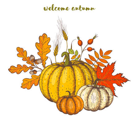 Pumpkin and fall leaves bouquet. Thanksgiving design template. Hello autumn illustration. Harvest festival. Hand drawn frame with fall leaves, pumpkin. Colorful illustration.のイラスト素材