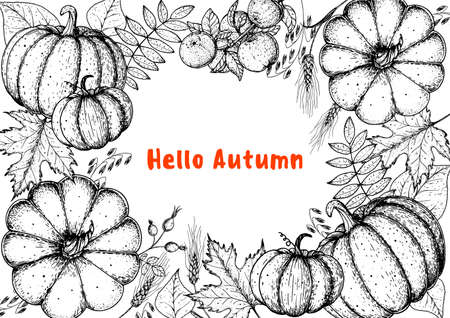 Hello autumn illustration. Harvest festival. Hand drawn frame with fall leaves, pumpkins. Vector illustration. Thanksgiving design template. Sketch designのイラスト素材