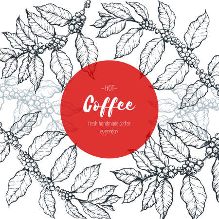 Coffee shop design template. Coffee tree hand drawn vector illustration. Vintage design. Engraved frameのイラスト素材