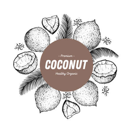 Coconut: Hand drawn coconut nuts. Organic food vector illustration. Vector design template. Great for packaging design. Hand drawn sketch. Engraved style. Tropicalのイラスト素材