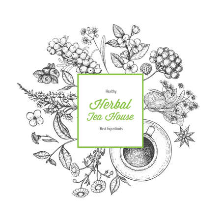 Herbal tea vector illustration. Menu label. Healthy food concept. Linear graphic.のイラスト素材