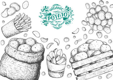 Potato vector illustration. Box and bag of potatoes. French fries, rustic potatoes and chips hand drawn. Engraved style frame.のイラスト素材