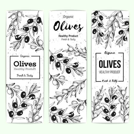 Olives banner set, hand drawn vector illustration. Healthy and organic food design template. Vintage style image. Engraved illustrationのイラスト素材