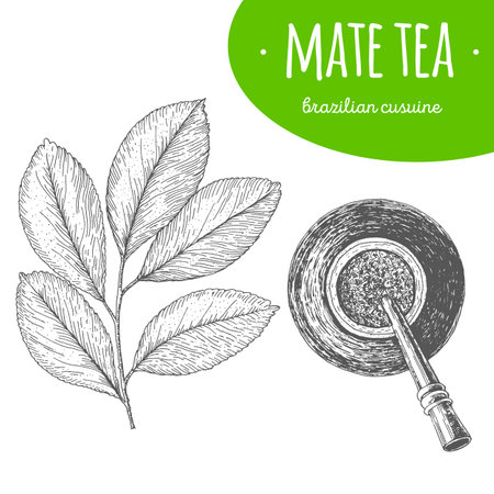 Mate tea top view vector illustration. Brazilian cuisine. Linear graphicのイラスト素材