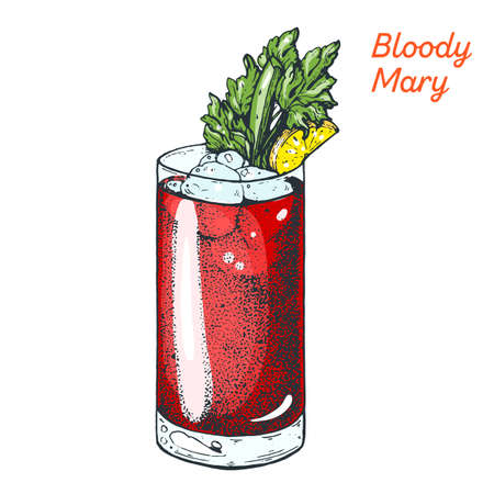 Bloody Mary cocktail illustration. Alcoholic cocktails hand drawn vector illustrationのイラスト素材