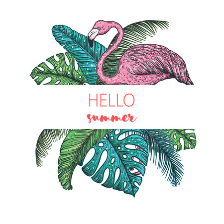 Tropical design template. Flamingo and palm leaves vector illustration. Summer designのイラスト素材