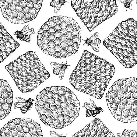 Honeycomb and bee hand drawn vector illustration. Seamless pattern. Sketch style. Healthy food illustration. Design for packaging. Hand drawn backgroundのイラスト素材
