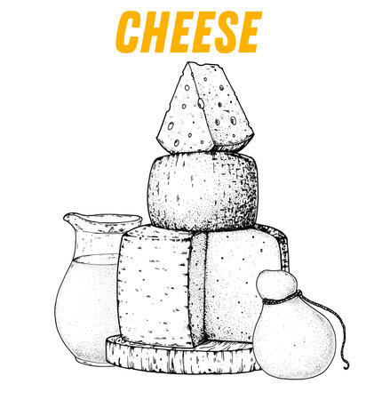 Cheese sketch, hand drawn illustration. food design template. Vector illustration with collection of cheese. engraved style image. Dairy farm products cheese.のイラスト素材