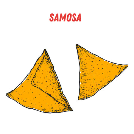 Samosa sketch, Indian food. hand drawn vector illustration. sketch style. top view. Vintage vector illustration.のイラスト素材