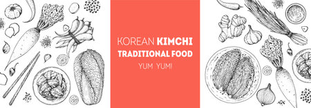 Kimchi cooking and ingredients for kimchi, sketch illustration. Korean food frame. Healthy food design elements. Hand drawn package design. Asian foodのイラスト素材