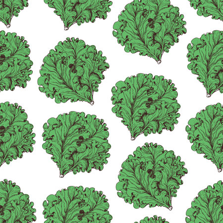Lettuce seamless pattern. hand drawn background. vector illustration. hand drawing illustration. Lettuce leaf hand drawn backdrop.のイラスト素材