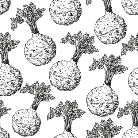 Celery root seamless pattern. hand drawn background. vector illustration. hand drawing sketch illustration. Celery root vegetable hand drawn backdrop.のイラスト素材