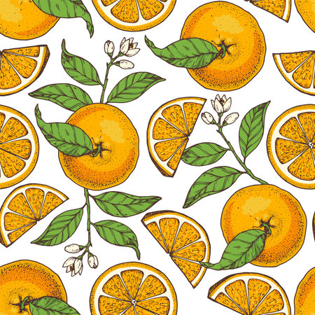 Orange fruit hand drawn design. vector illustration. Design, package, brochure illustration. Orange fruit frame illustration. Design elements for packaging design and other.のイラスト素材