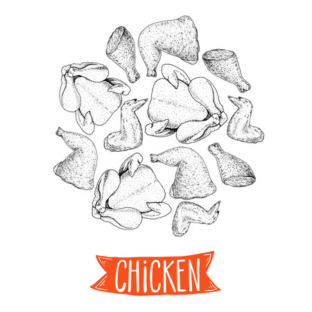 Grilled and fried chicken. hand drawn sketch illustration. Grilled chicken meat top view. vector illustration. engraved design. Restaurant menu design templateのイラスト素材