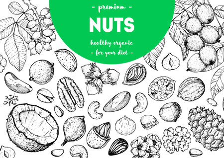 Nuts collection hand drawn sketch. vector illustration. Organic healthy food. Great for packaging design. engraved style. black and white colorのイラスト素材