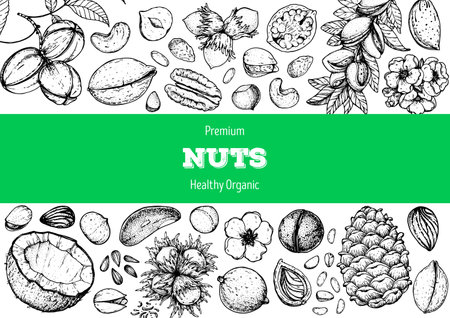 Nuts collection hand drawn sketch. vector illustration. Nuts cocktail. Organic healthy food. Great nuts packaging design. engraved style. black and white colorのイラスト素材