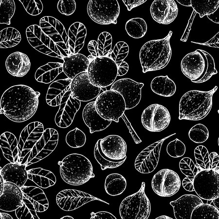 Macadamia seamless pattern. Hand drawn macadamia nuts. Organic food vector illustration. vector design template. Great for packaging design. hand drawn sketch. Macadamia nut sketch. engraved styleのイラスト素材